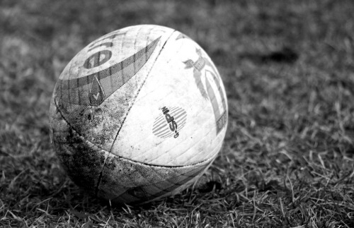 coronavirus rugby